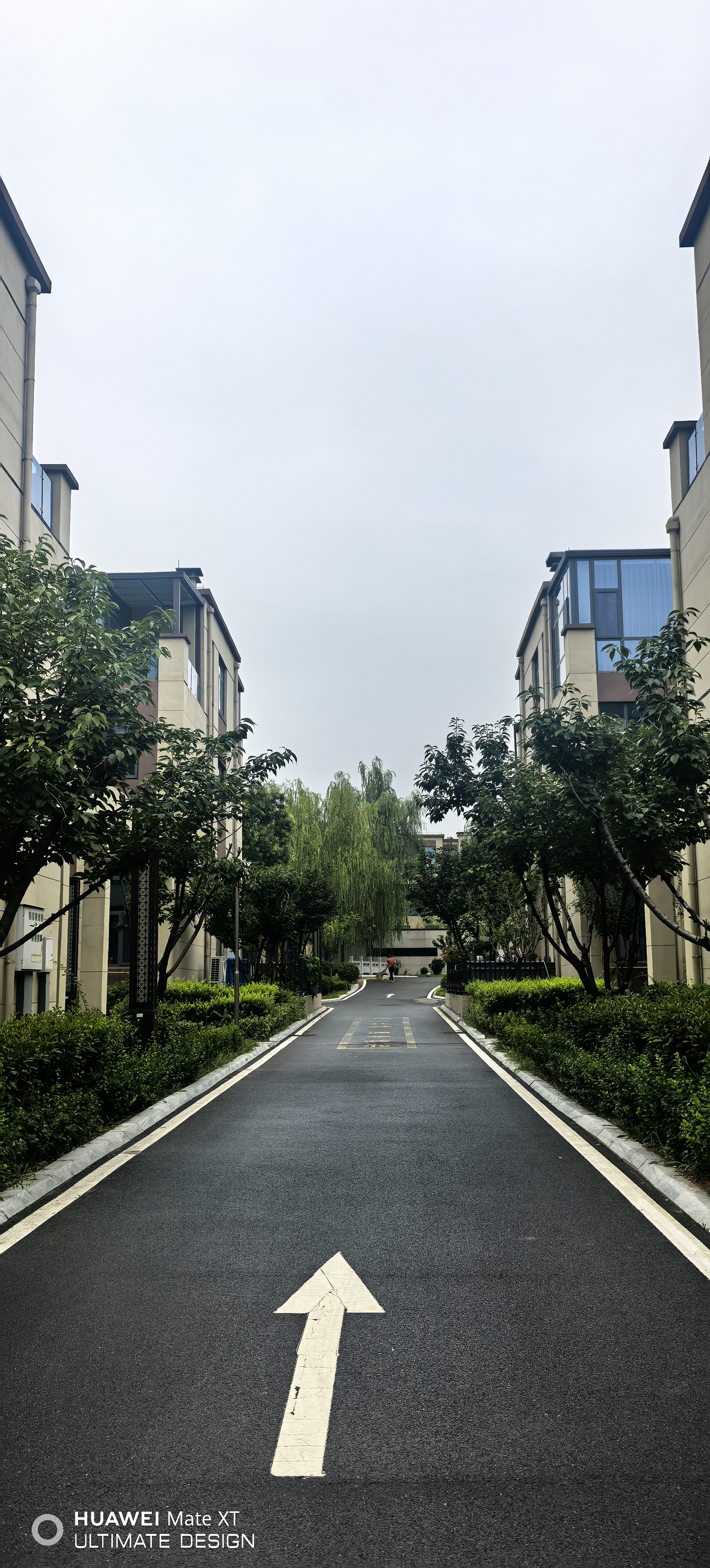 淄博西区别墅哪个机构好