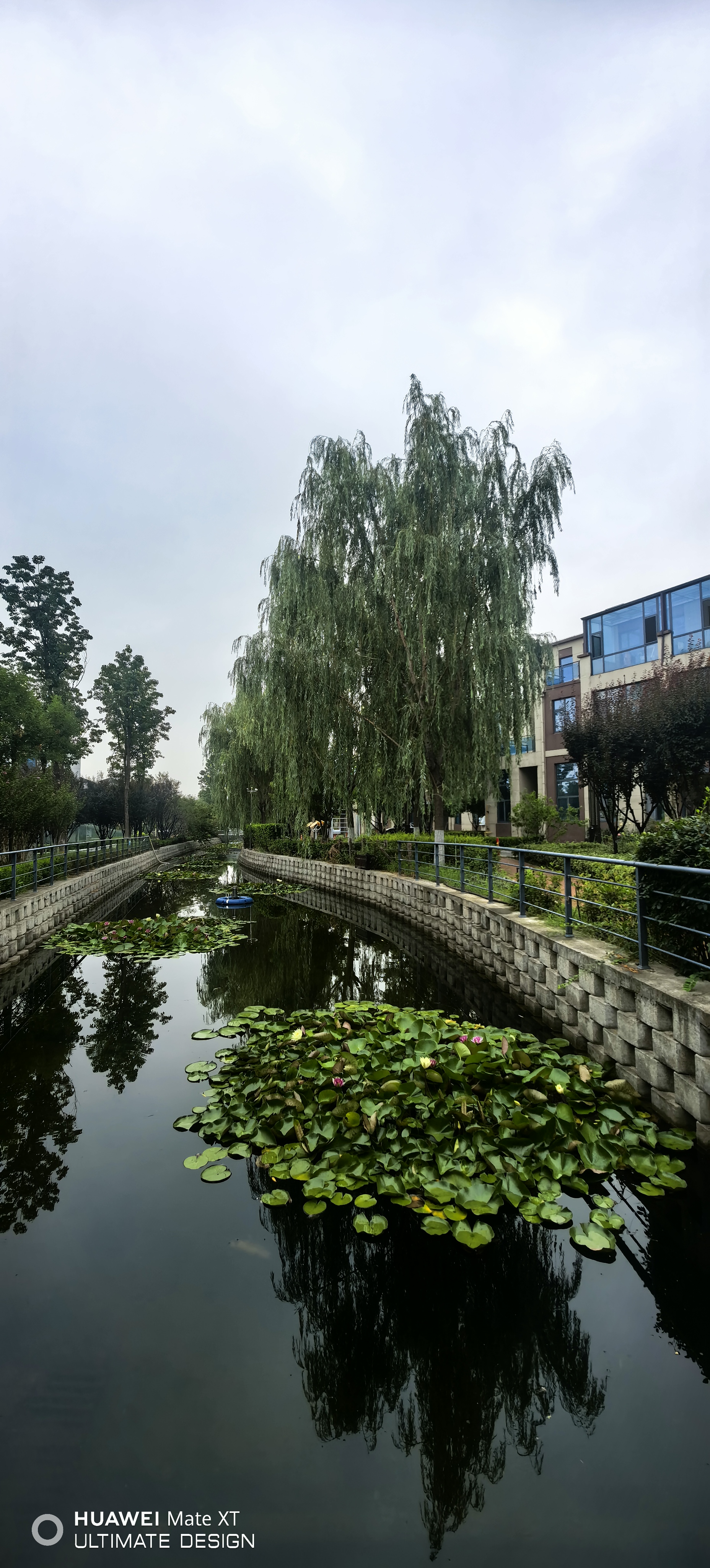 专注于淄博西区别墅的企业