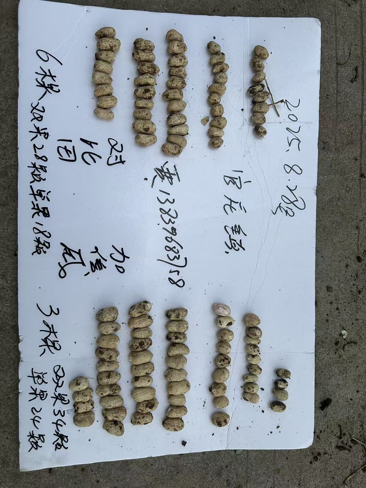 靠谱的花生用肥料厂家推荐哪个公司
