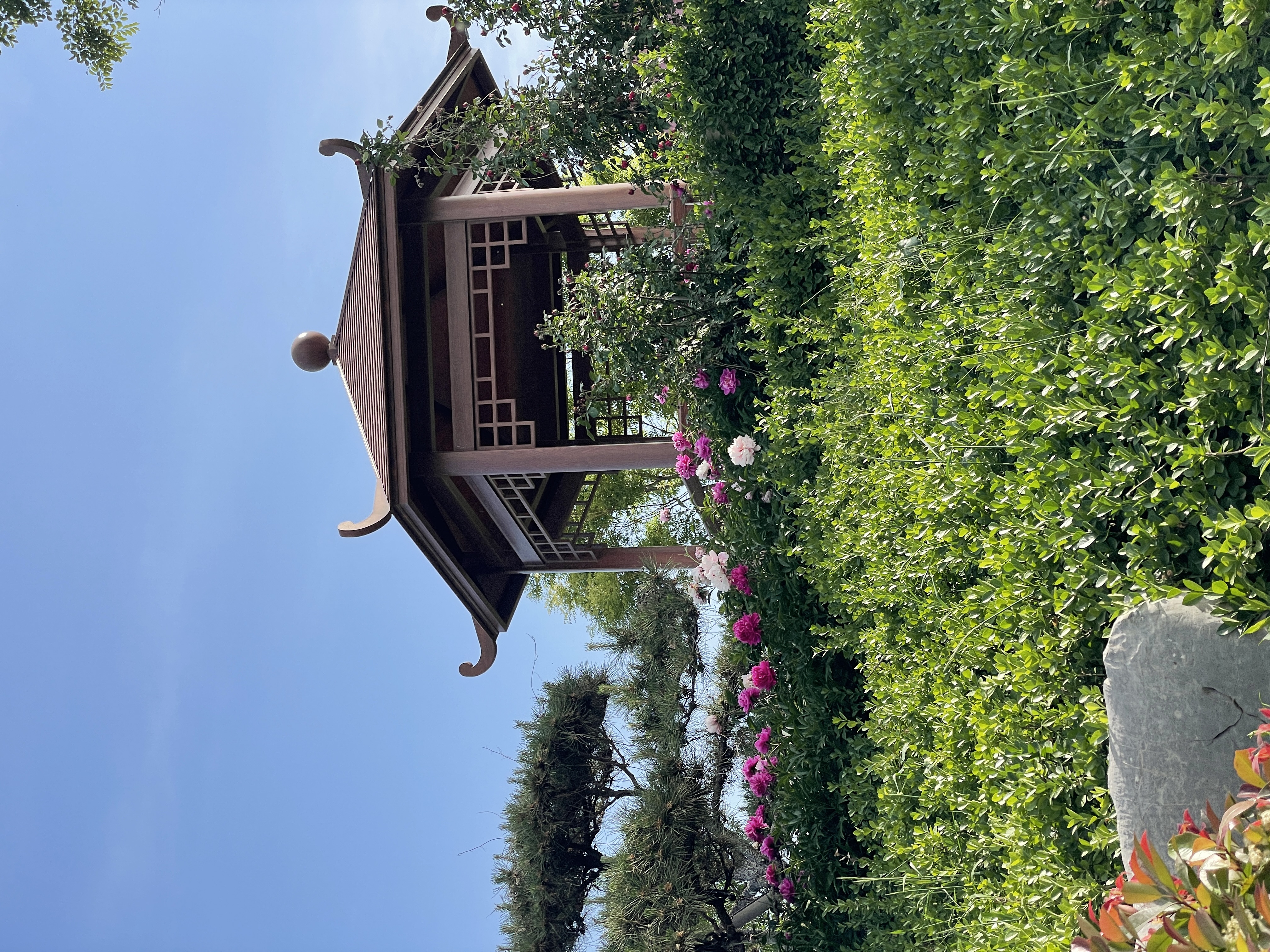 淄博带院别墅：推窗见绿，圆长辈田园安居梦