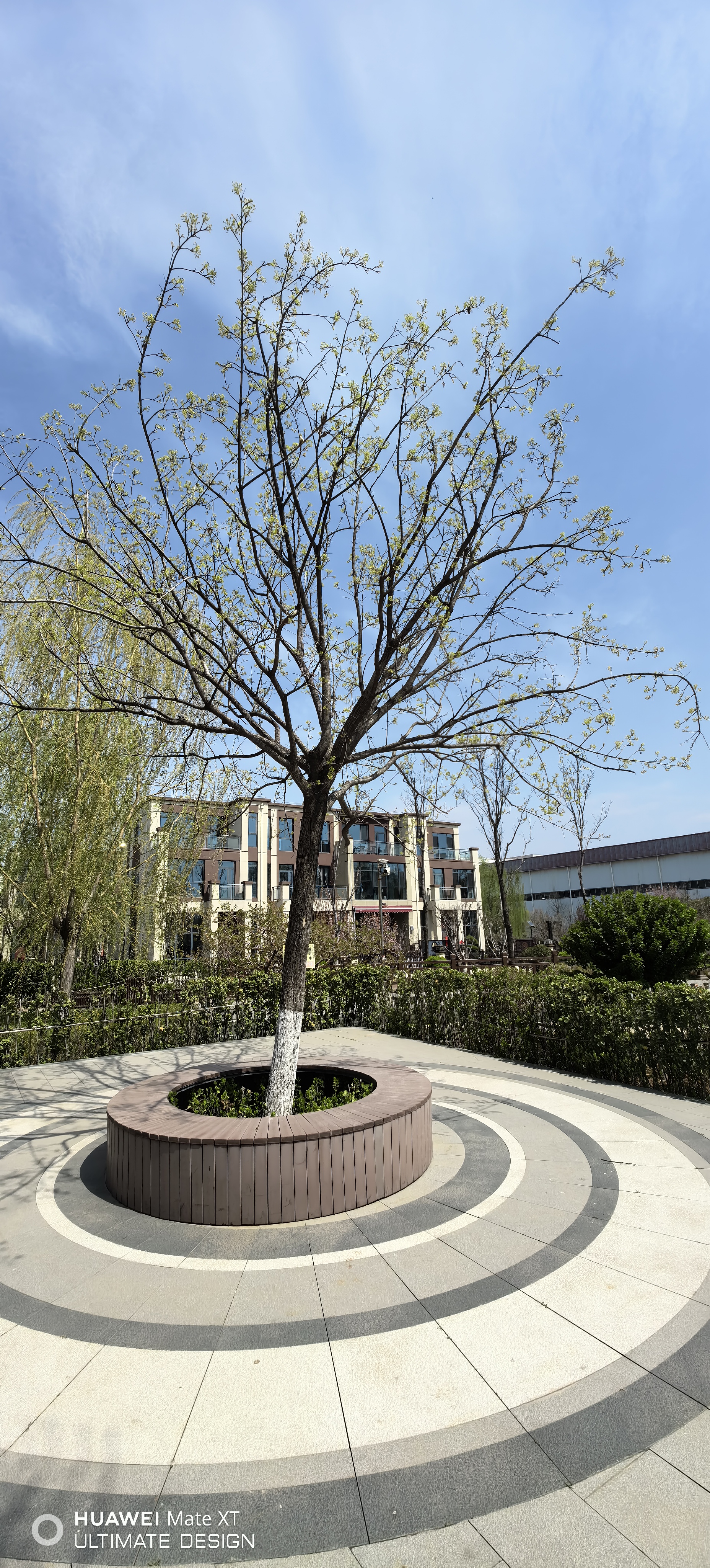 2026年淄博楼市置业指南：本地靠谱适老化社区盘点及选购建议