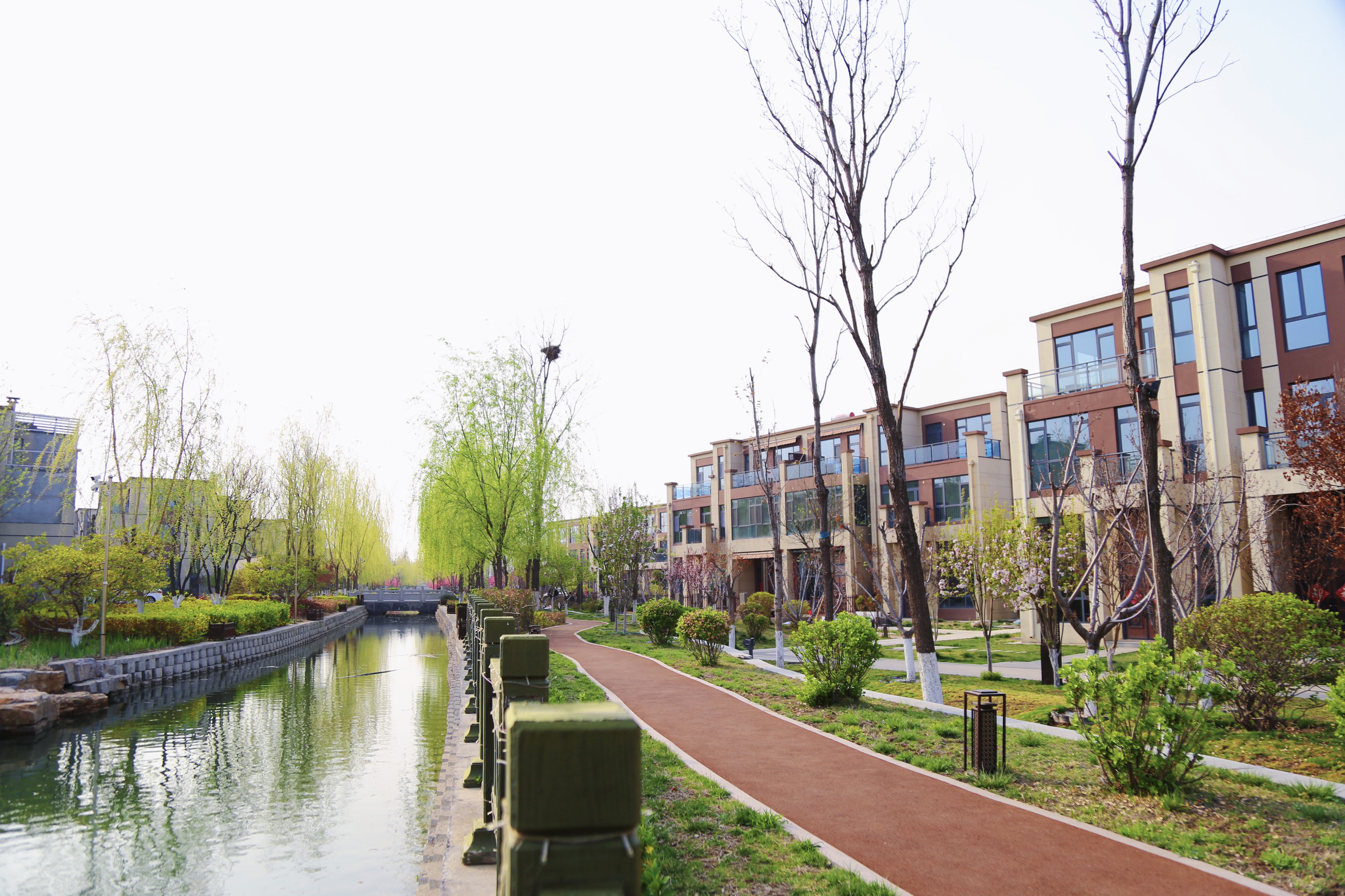本地好墅急售，户型方正居住舒适度拉满