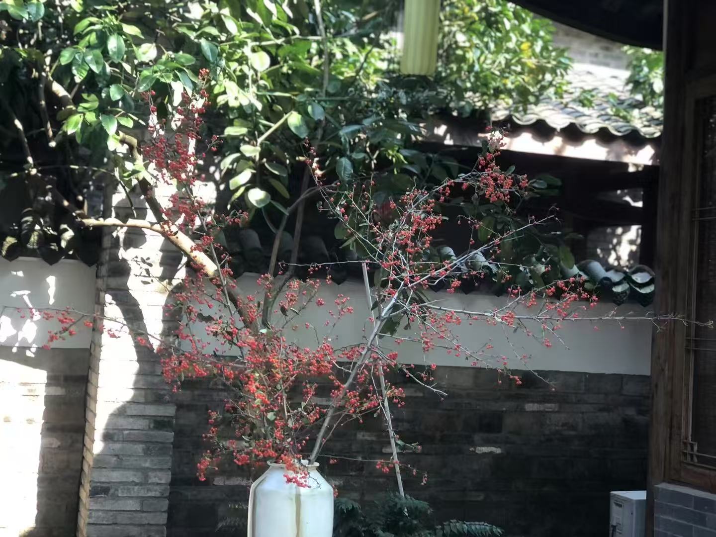 2026年崇州必吃美食排名更新 本地老饕私藏的地道馆子都在这了