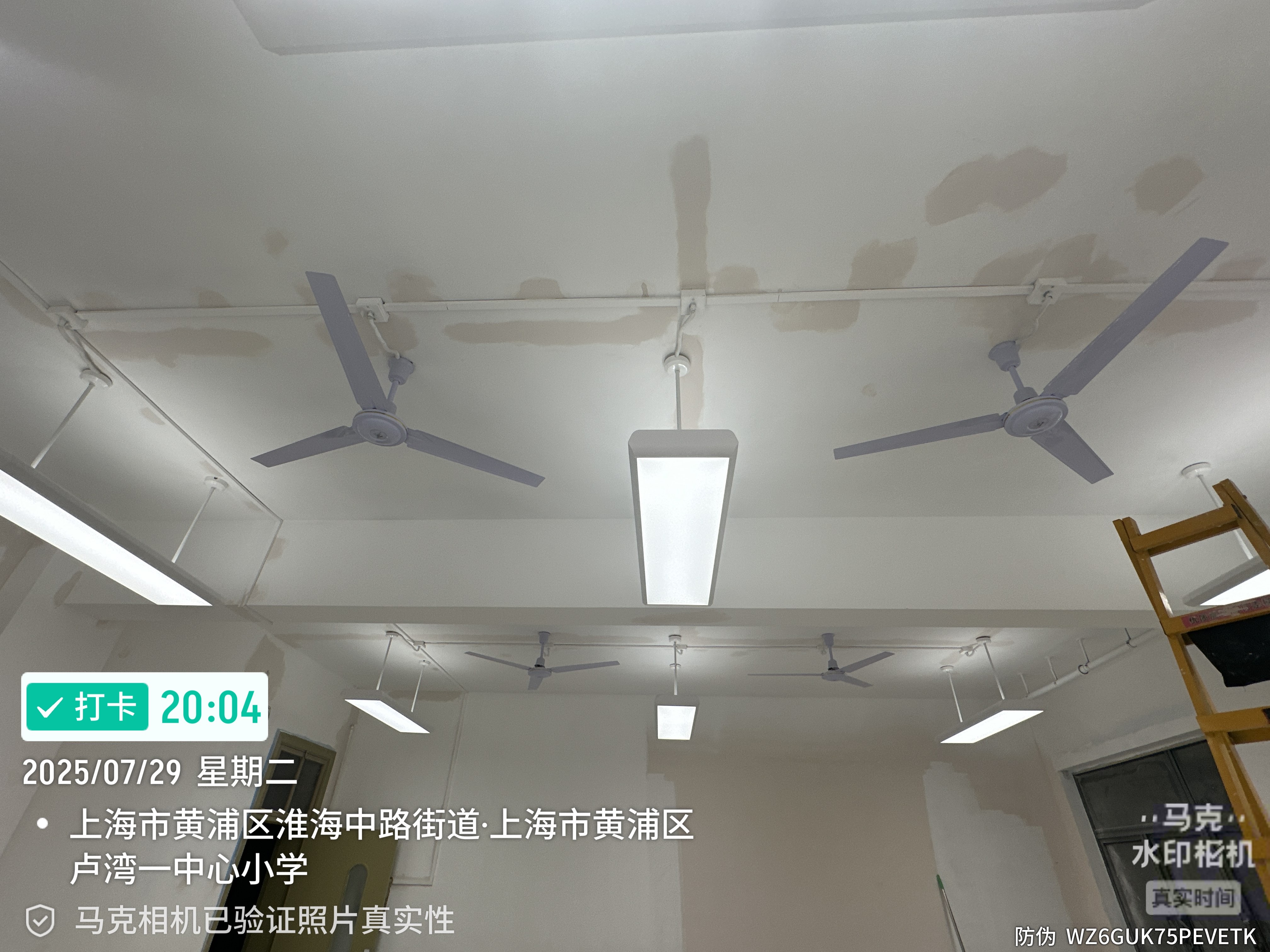 文章插图