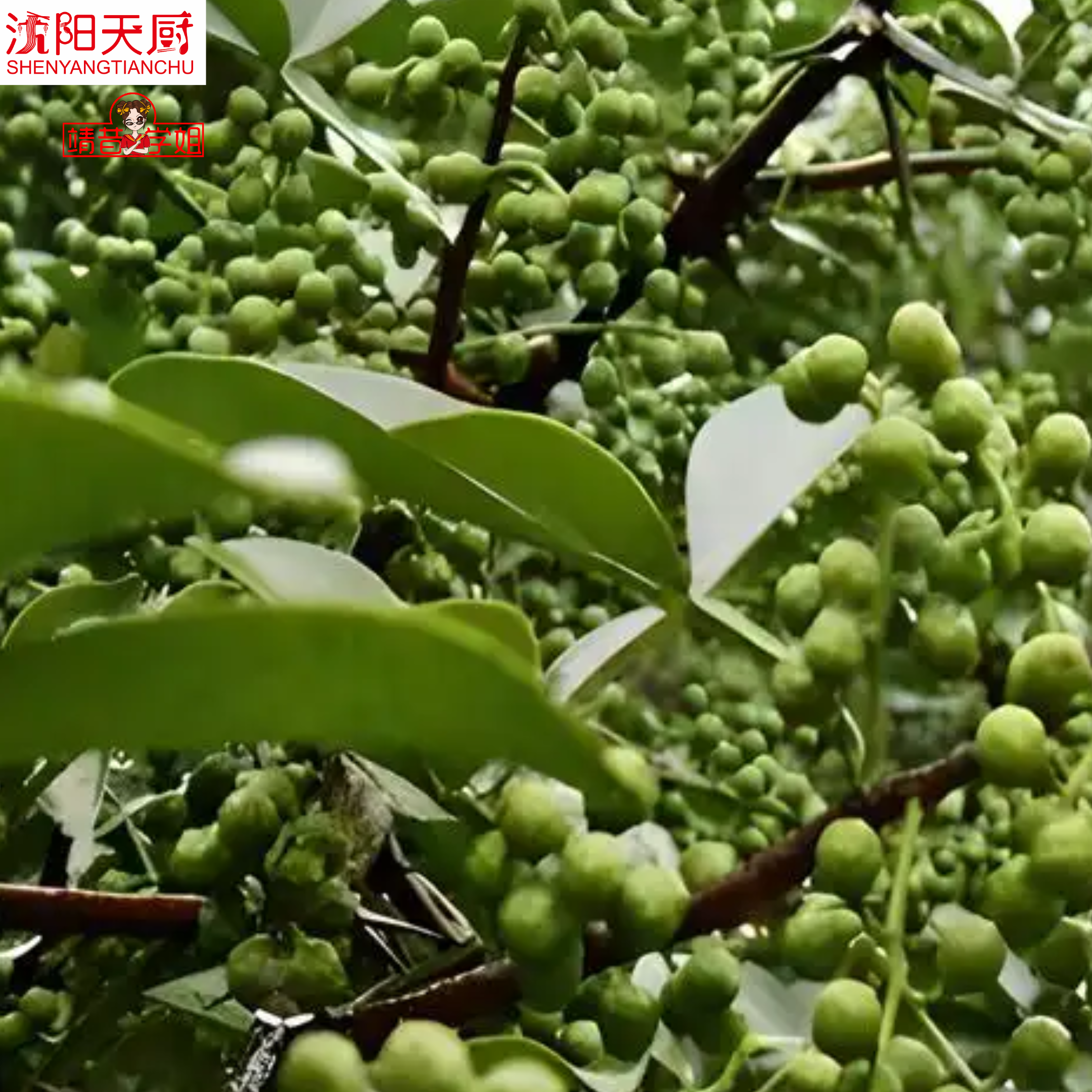 文章插图